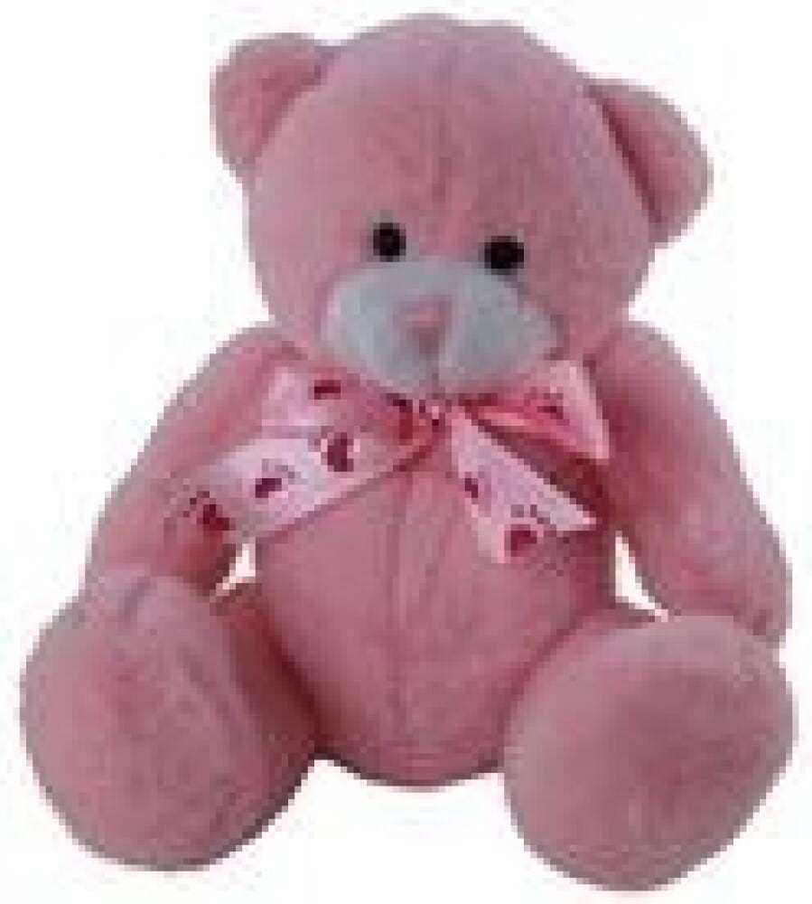 Medium Teddy - Pink